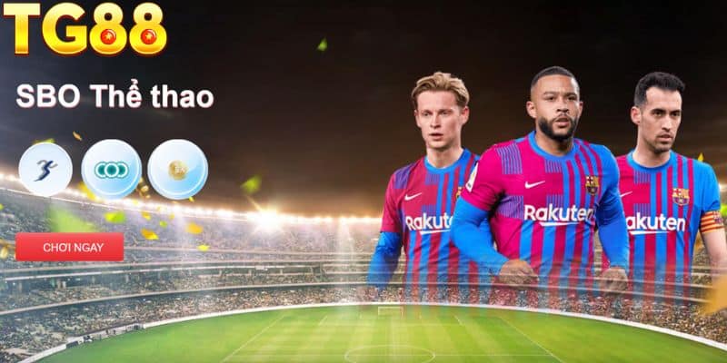 Những bộ môn được đưa vào cá cược thể thao TG88